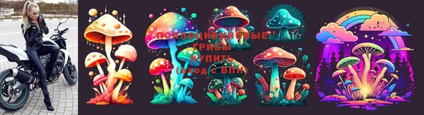дживик Инсар