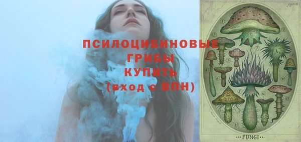 ALPHA PVP Карталы