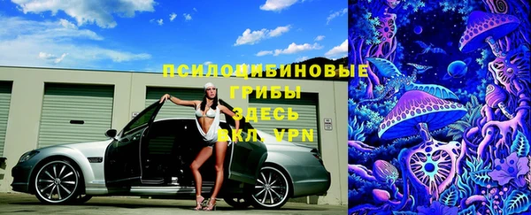 ГАЛЛЮЦИНОГЕННЫЕ ГРИБЫ Каменск-Шахтинский
