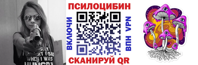 Галлюциногенные грибы мицелий где найти наркотики Кашира
